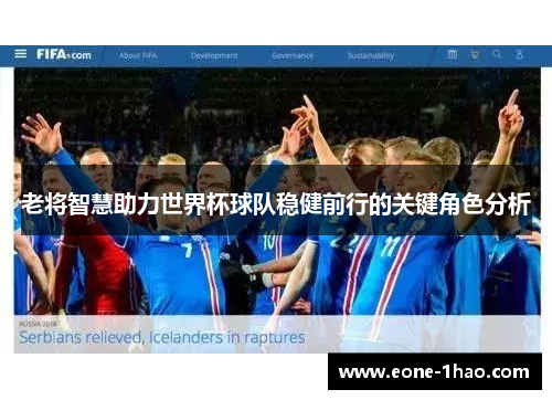 老将智慧助力世界杯球队稳健前行的关键角色分析