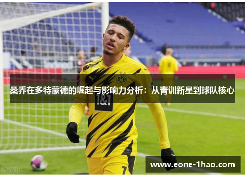 桑乔在多特蒙德的崛起与影响力分析：从青训新星到球队核心