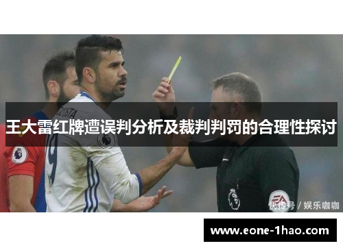 王大雷红牌遭误判分析及裁判判罚的合理性探讨